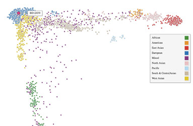 Ethnic DNA Global Connections Plot