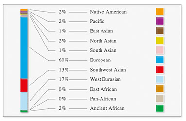 Ethnic Ancestry Global Percetnage