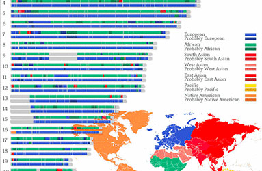 Ethnic Ancestry Chromosome Painting