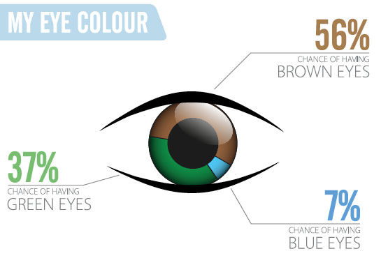 Eye Colour Likelihood