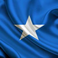 Somalia DNA Test