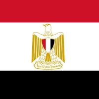 Cairo DNA Test