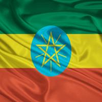 Addis Ababa DNA Test