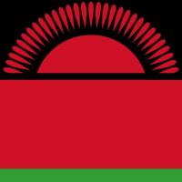 Lilongwe DNA Test