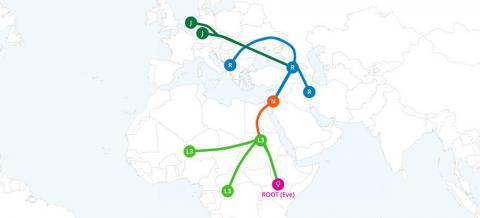 Motherline Ancestry