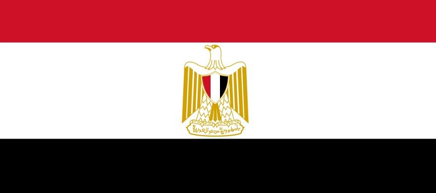 Cairo DNA Test