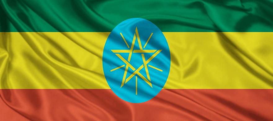 Addis Ababa DNA Test