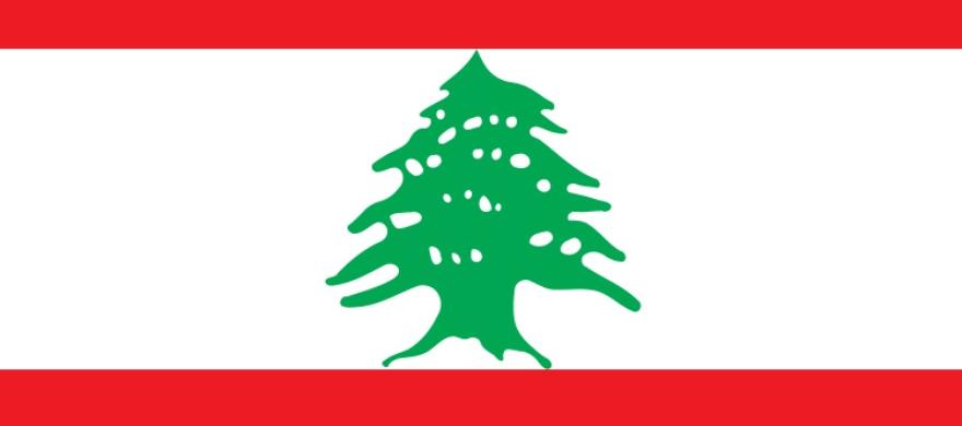 Lebanon Beirut DNA Test