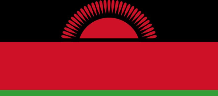 Lilongwe DNA Test