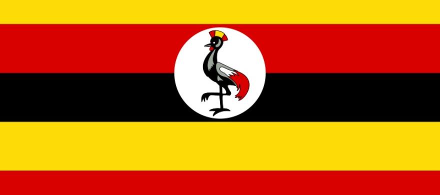 Kampala DNA Test