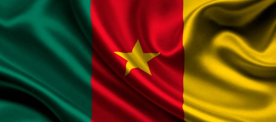 Cameroon Yaounde DNA Test
